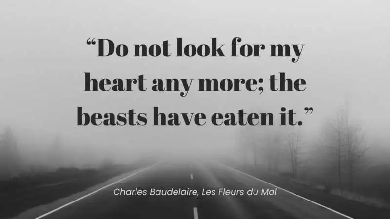 Zitat aus Die Blumen des Bösen von Charles Baudelaire (auf Englisch)