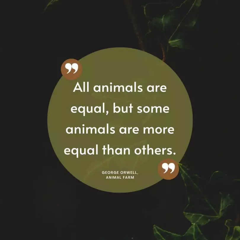 Quote from "Animal Farm" by George Orwell