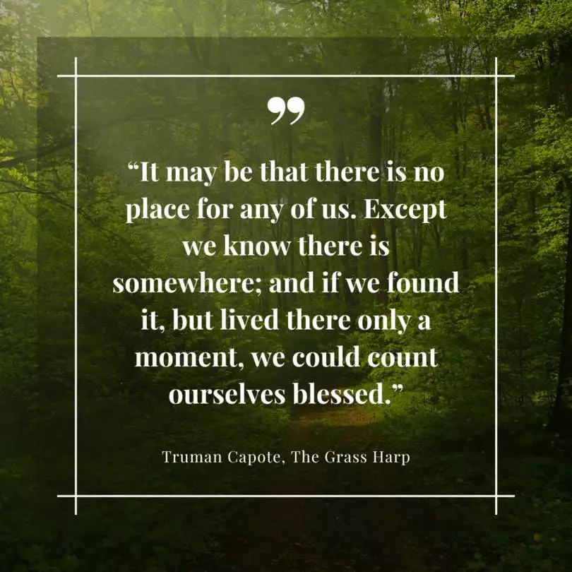 Quote from "The Grass Harp" by Truman Capote
