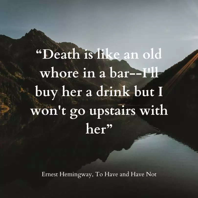 Quote from To Have and Have Not by Ernest Hemingwy