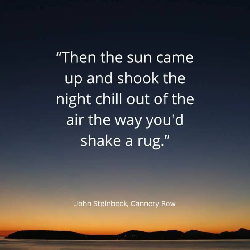 Quote from Cannery Row by John Steinbeck