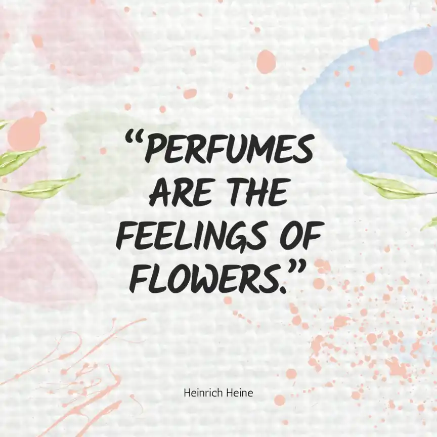 Cita de Heinrich Heine Cita de Heinrich Heine