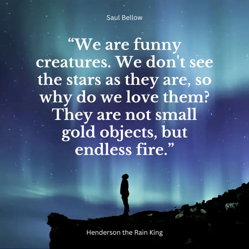 Zitat aus Der Regenkönig von Saul Bellow